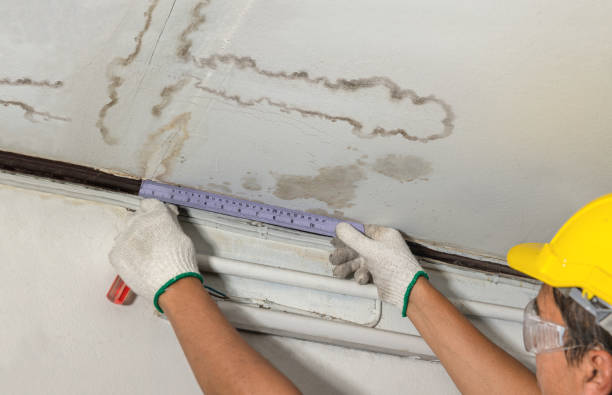 Reliable Burst Pipe Cleanup contractor in Brookings, OR by Water Damage Irwin